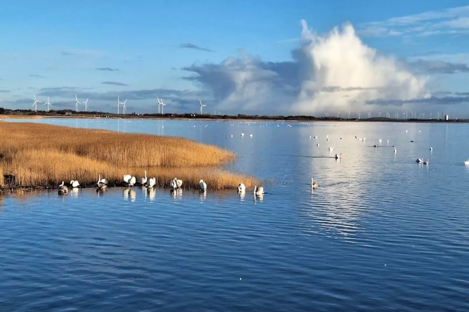 Maison de vacances pour 4 a Ringkøbing-By Traum-Vue sur l'eau