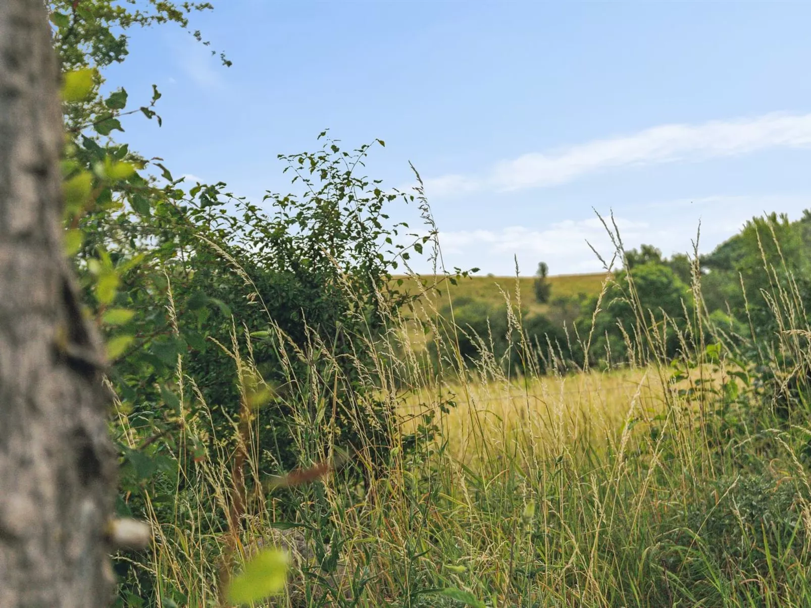 "Aurore" - 1.3km from the sea-Outside