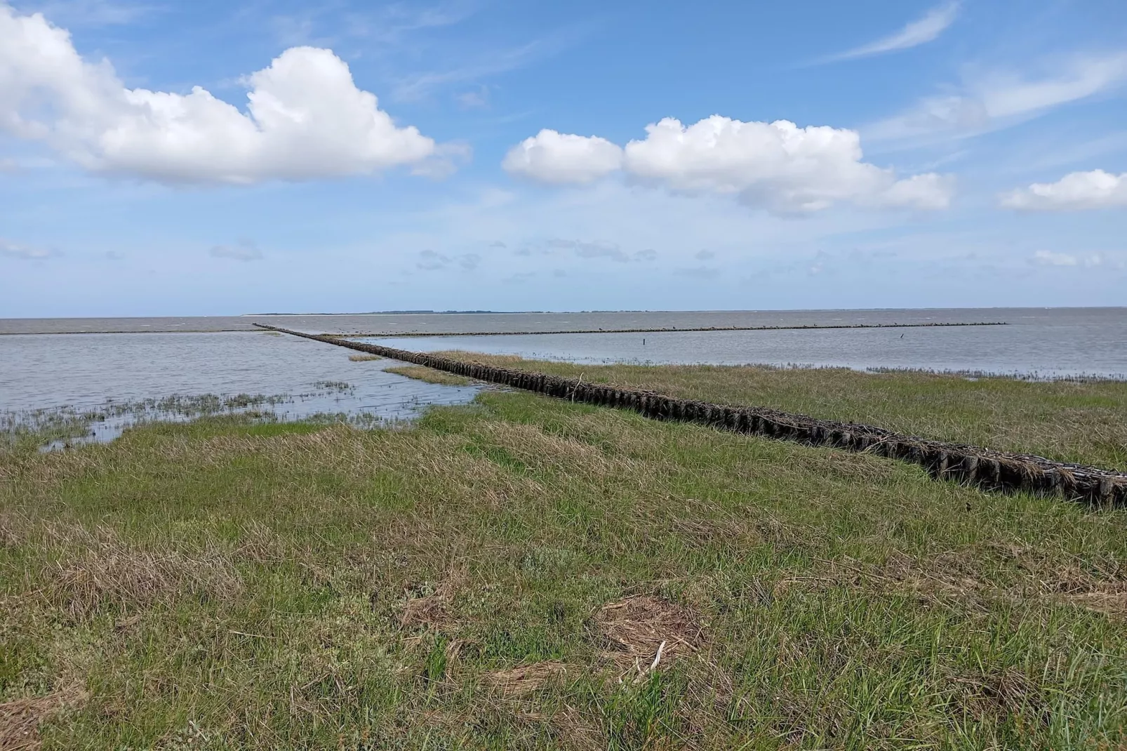 Ferienhaus Seeschwalbe-Areas within 5km in summer