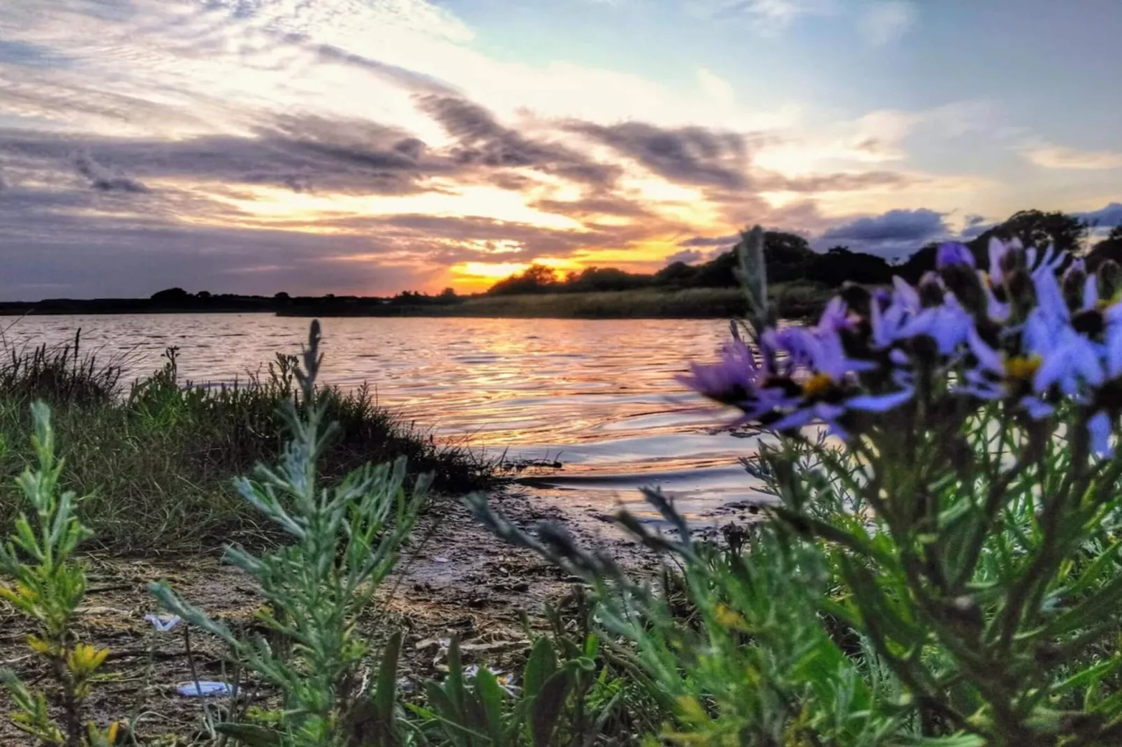 4 etoiles maison de vacances a Rønde-By Traum-Vue sur l'eau