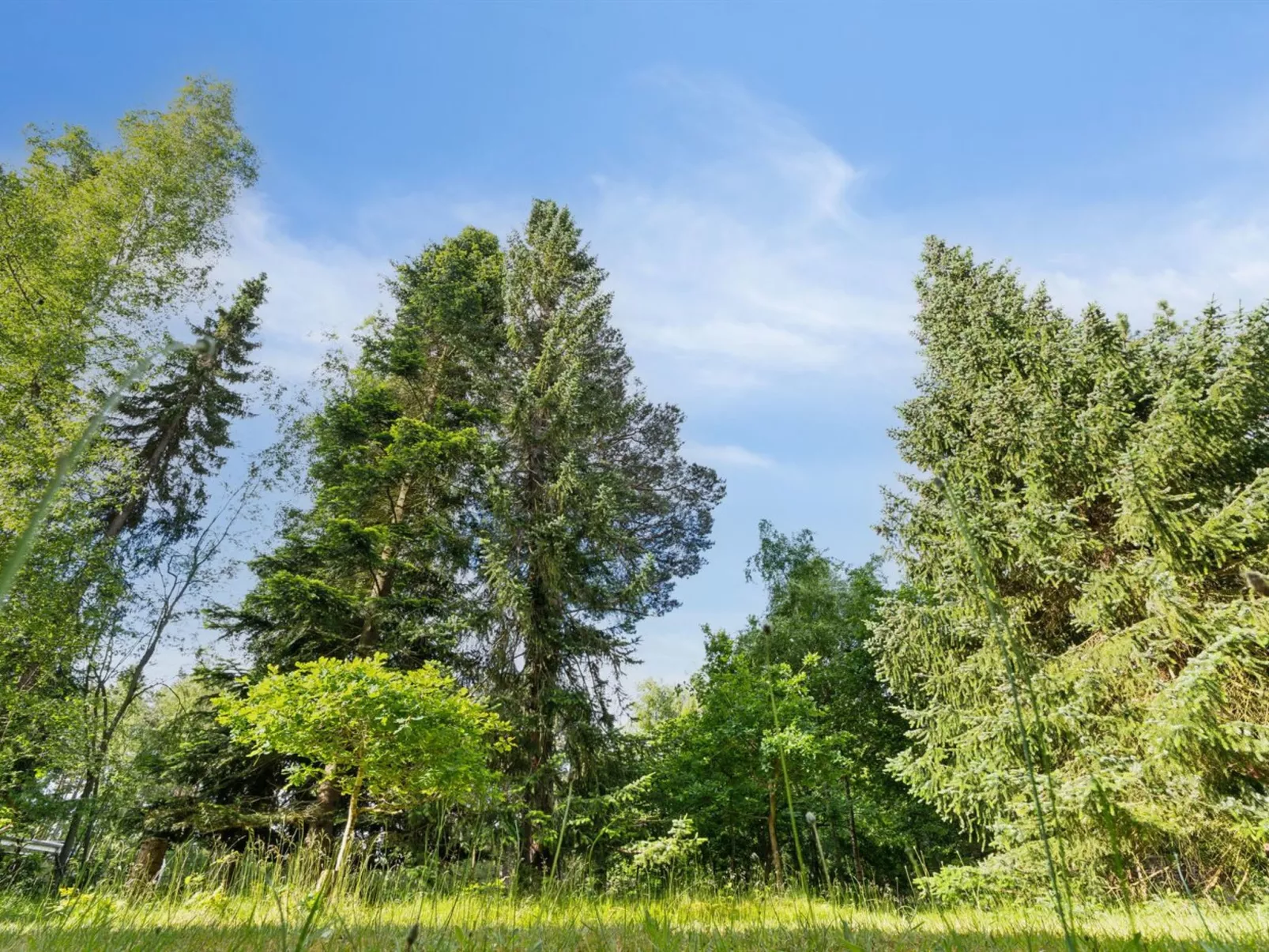 "Borghild" - 1km from the sea-Outside