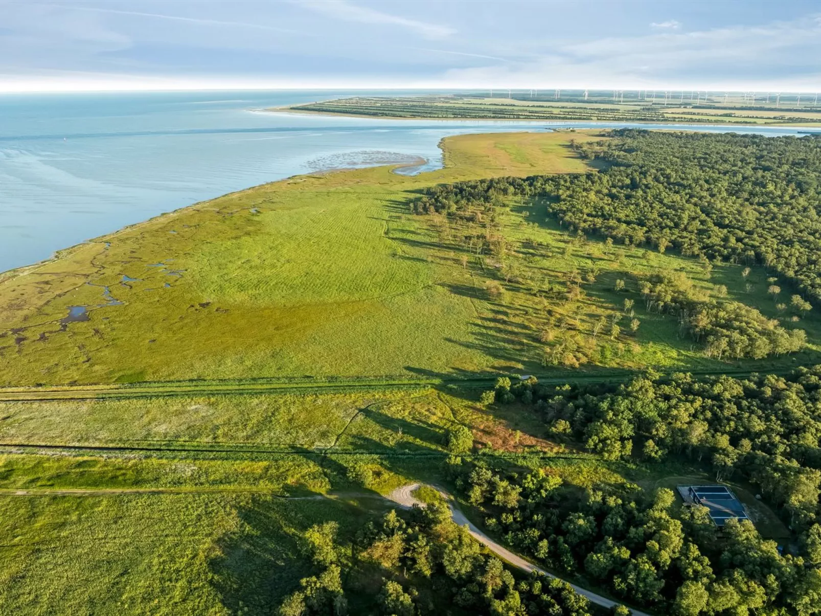 "Thorbiorn" -  from the sea-Draußen