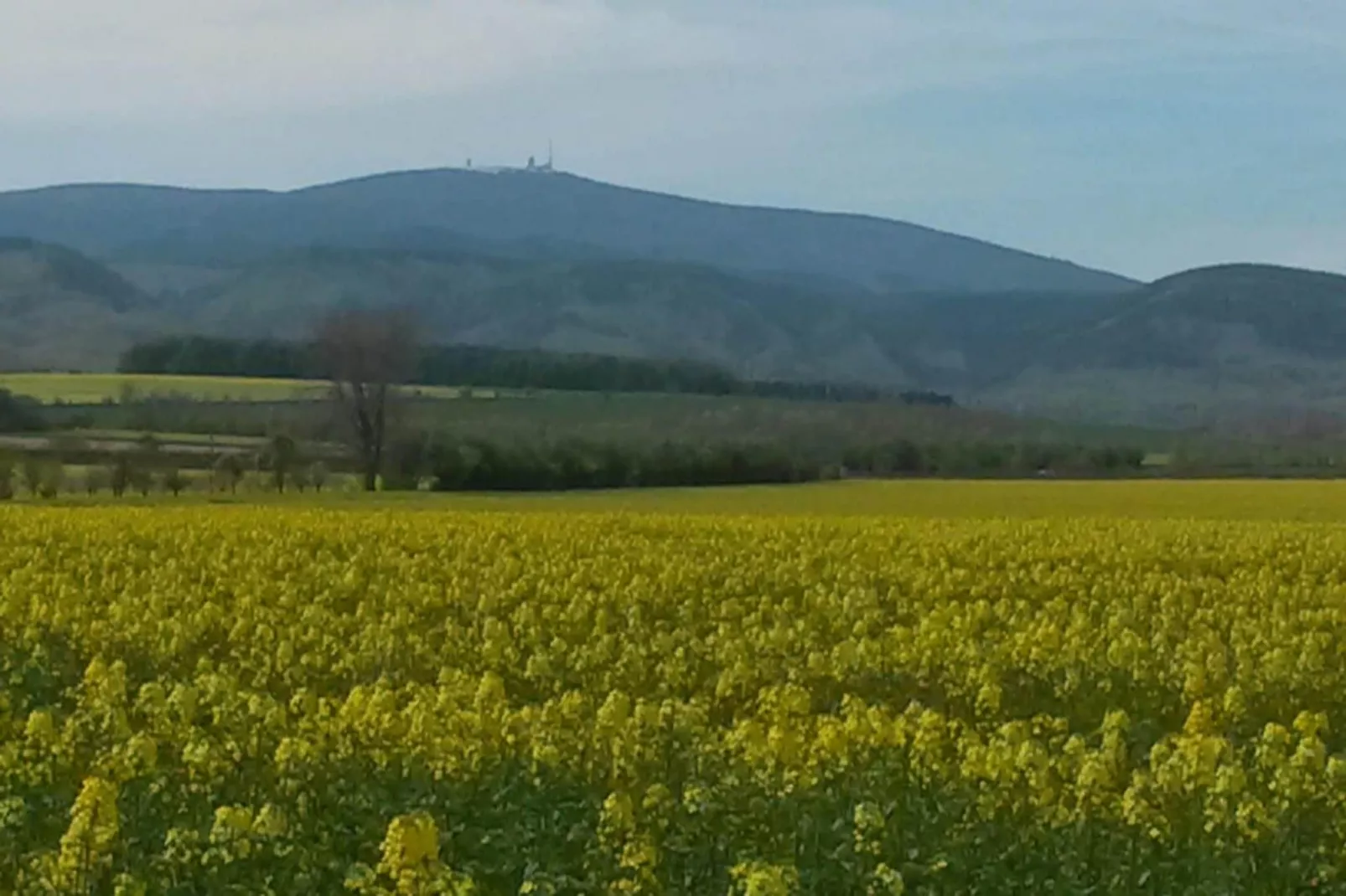 Meineckes Harzidyll Am Eichenberg II-Gebiete Sommer 1 km