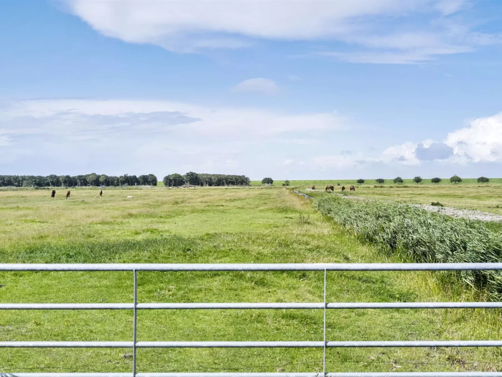 "Janin" - 400m from the sea-Draußen