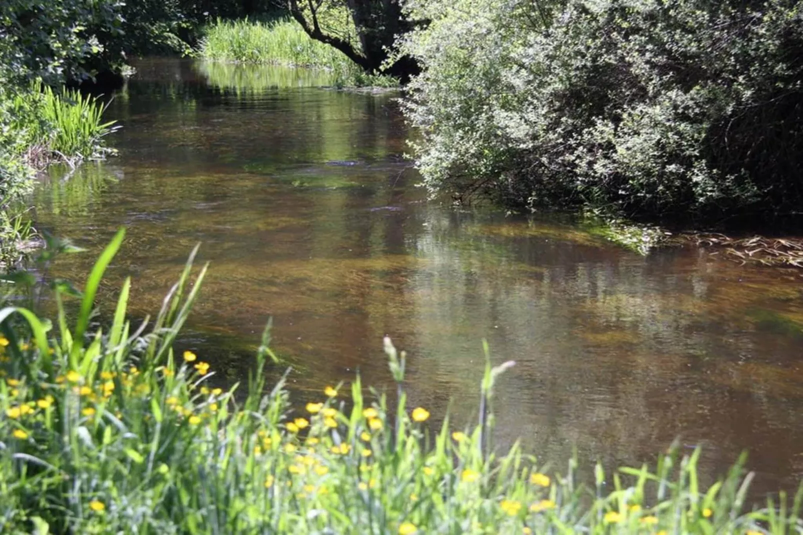 4 Sterne Ferienhaus in Hovborg-By Traum-Wasserblick