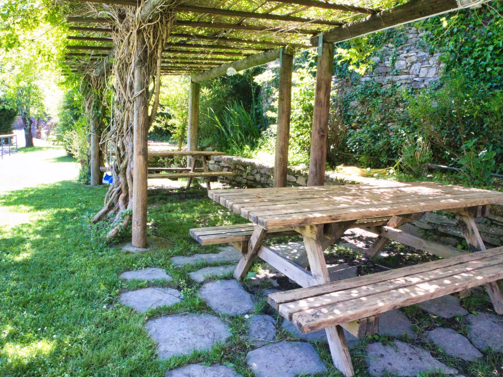 Asplanato (DOL163)-Outside