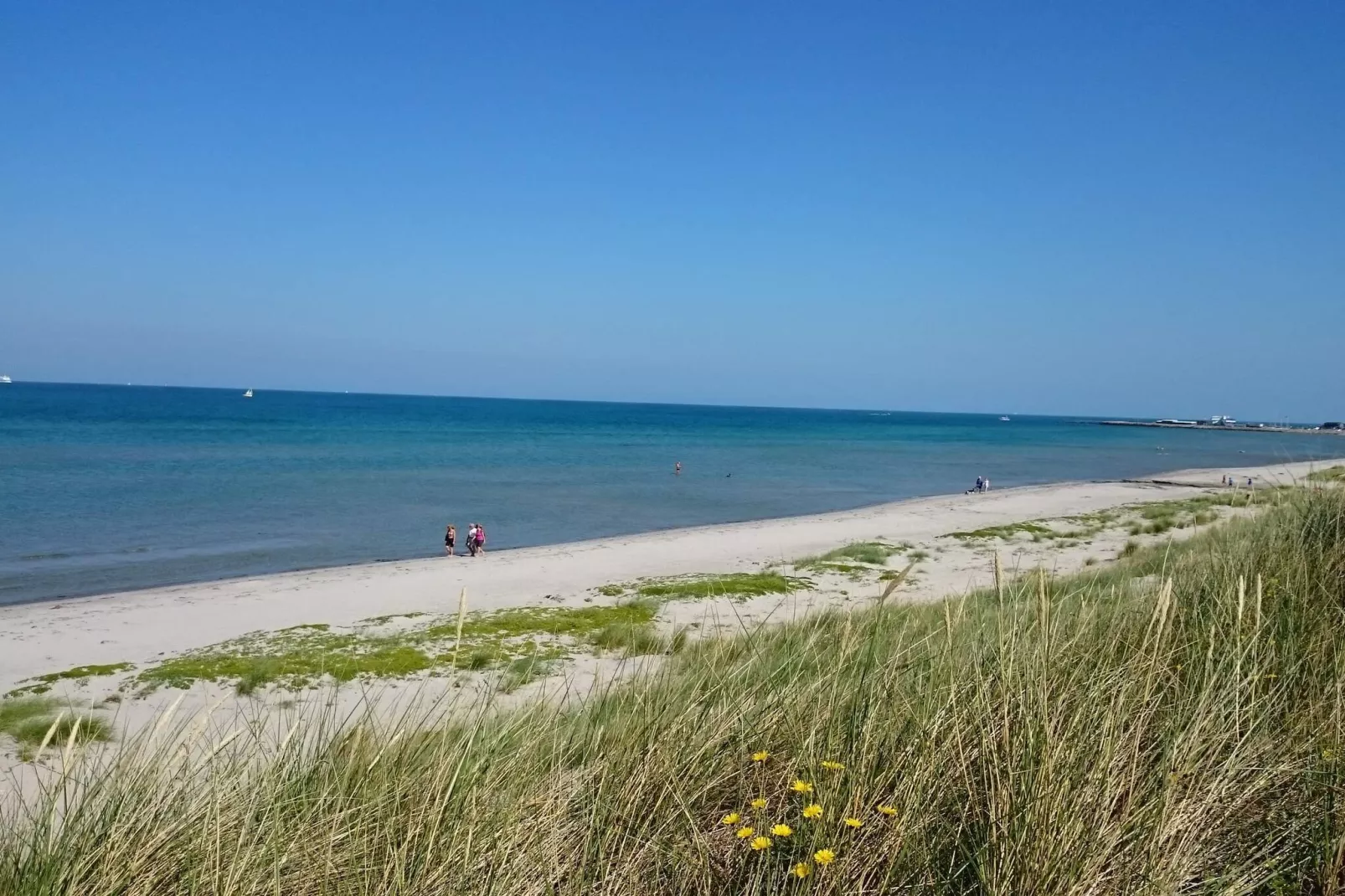 Maison de vacances pour 4 a Læsø-Vue sur l'eau
