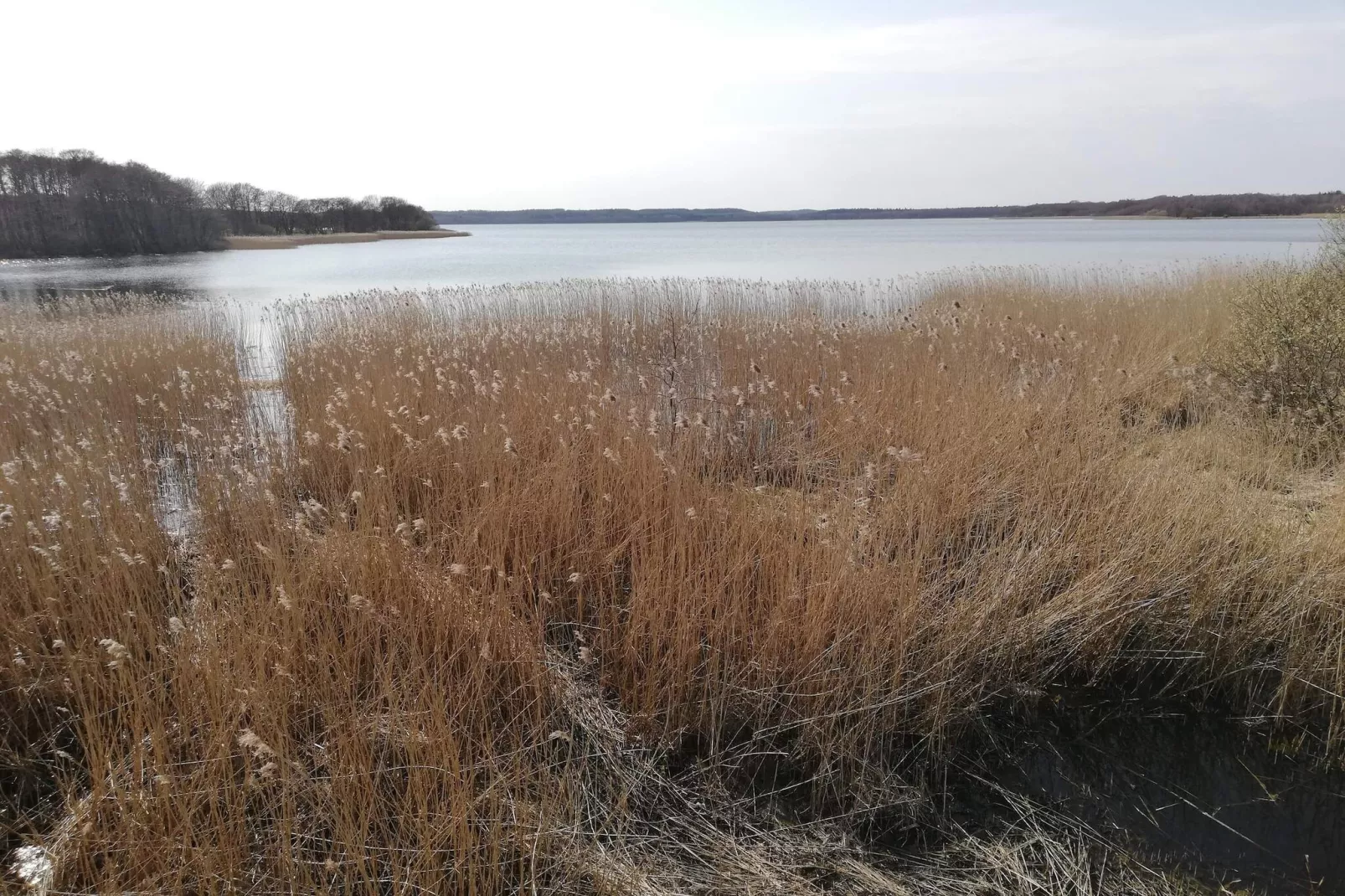 Peaceful Cabin Retreat in Ebeltoft-Water view