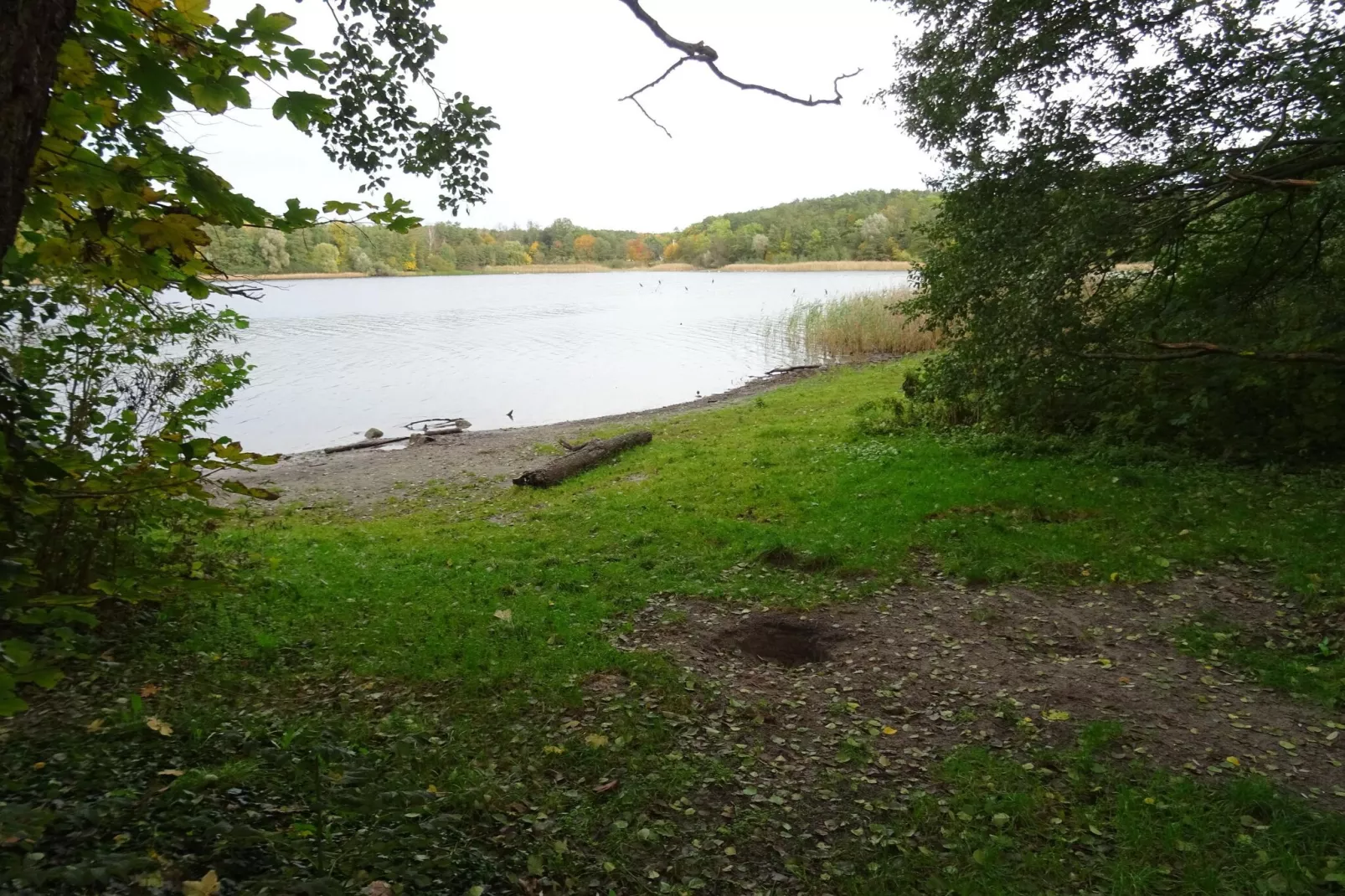 Luxus Appartement / 6 Personen-Areas within 5km in summer