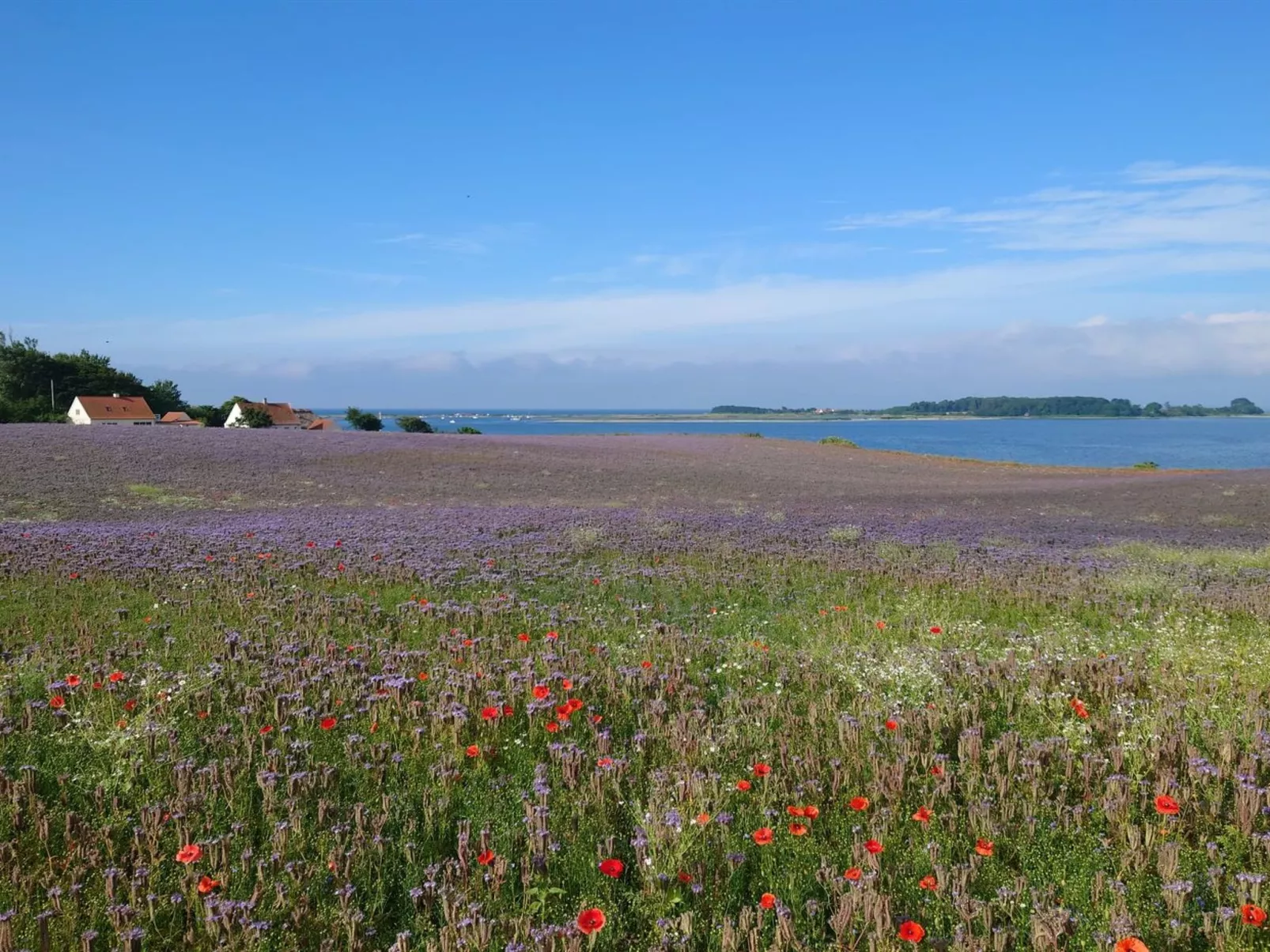 "Devis" - 75m from the sea-Outside