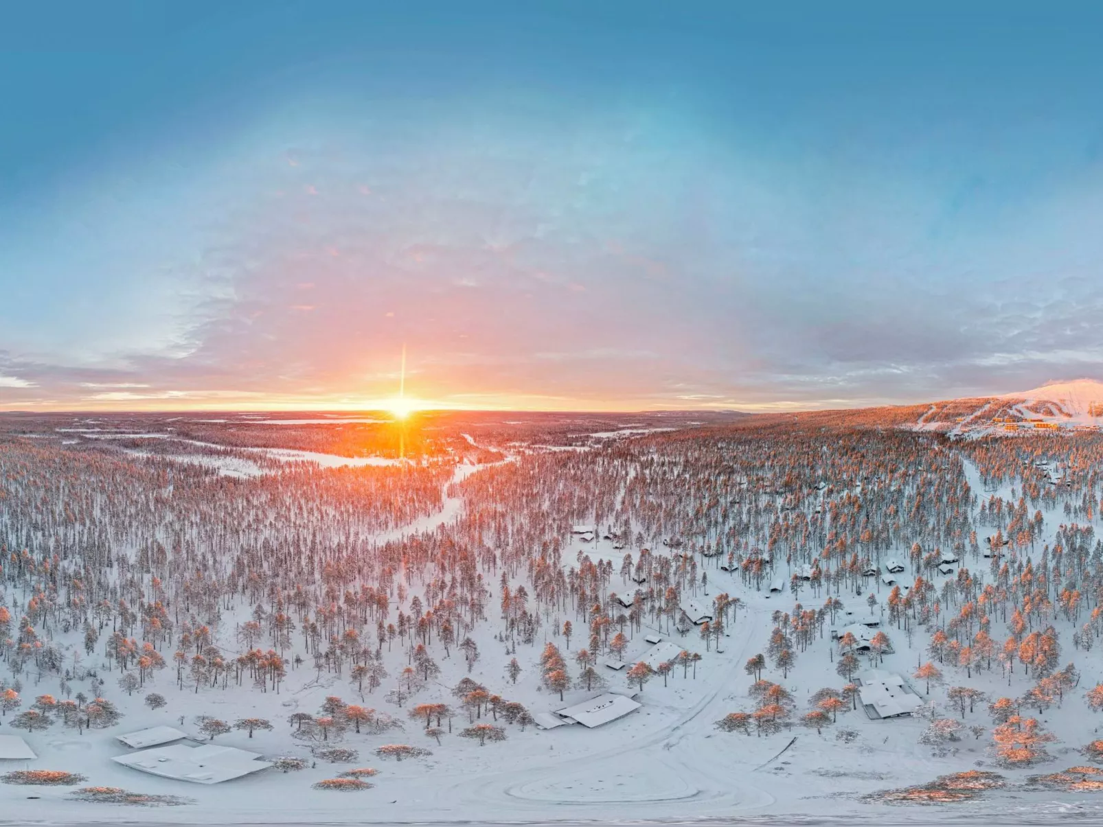 Kevätpiippo b-Inside