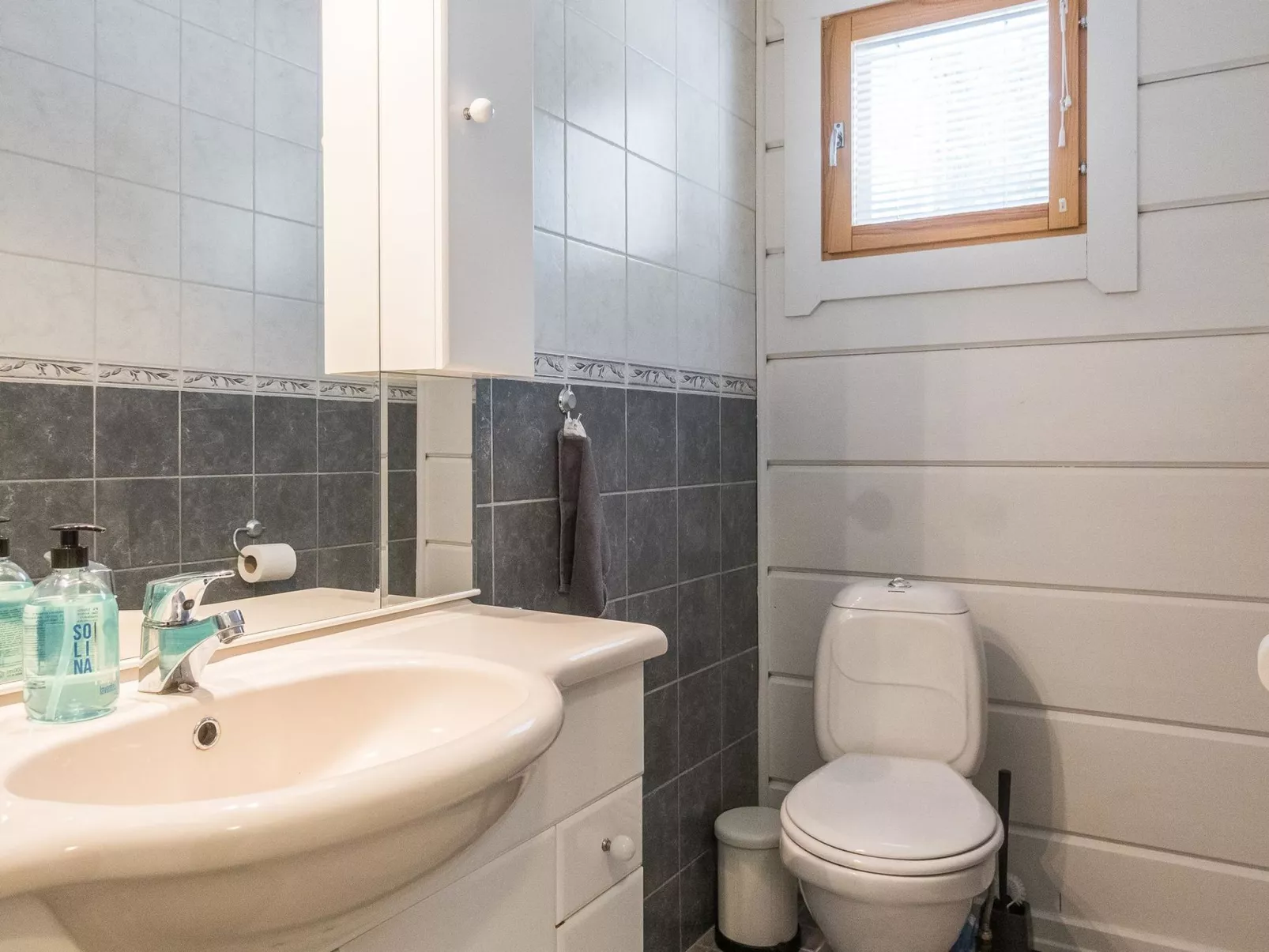 Petsukantähti-Dedans