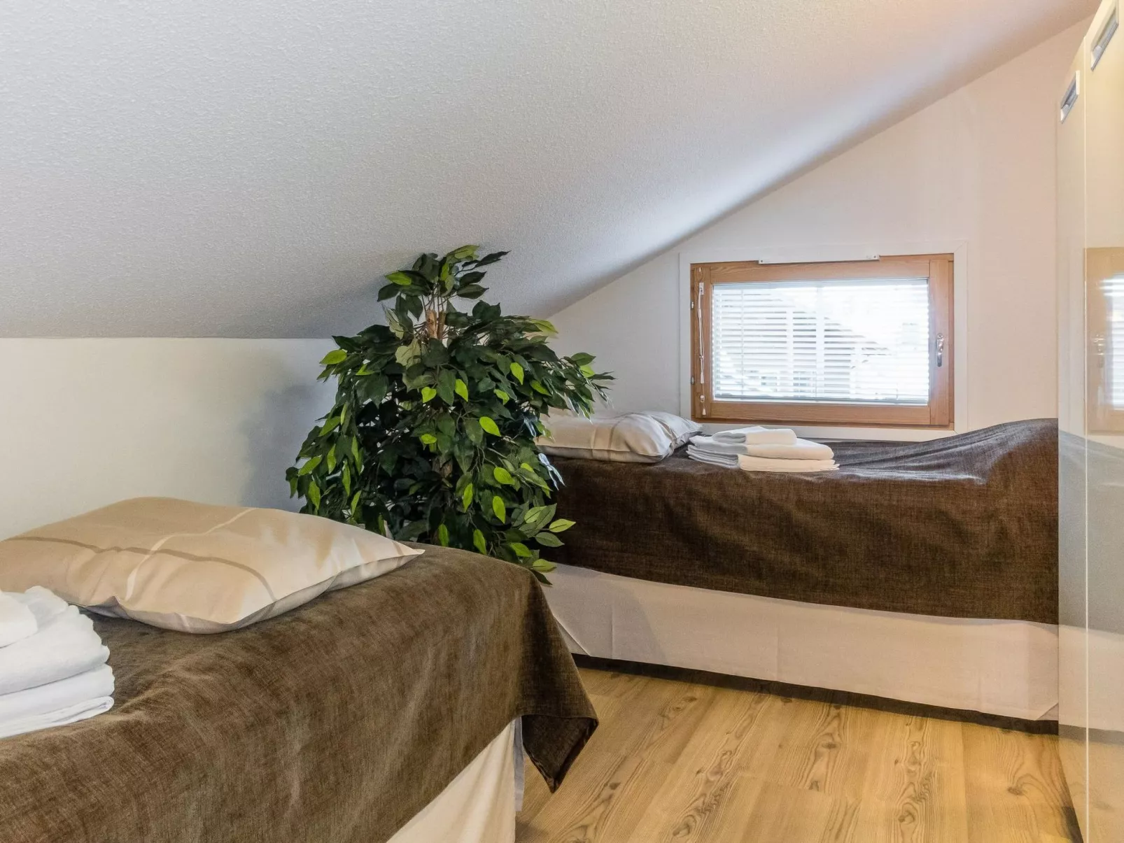 Levinkolmio c6-Drinnen