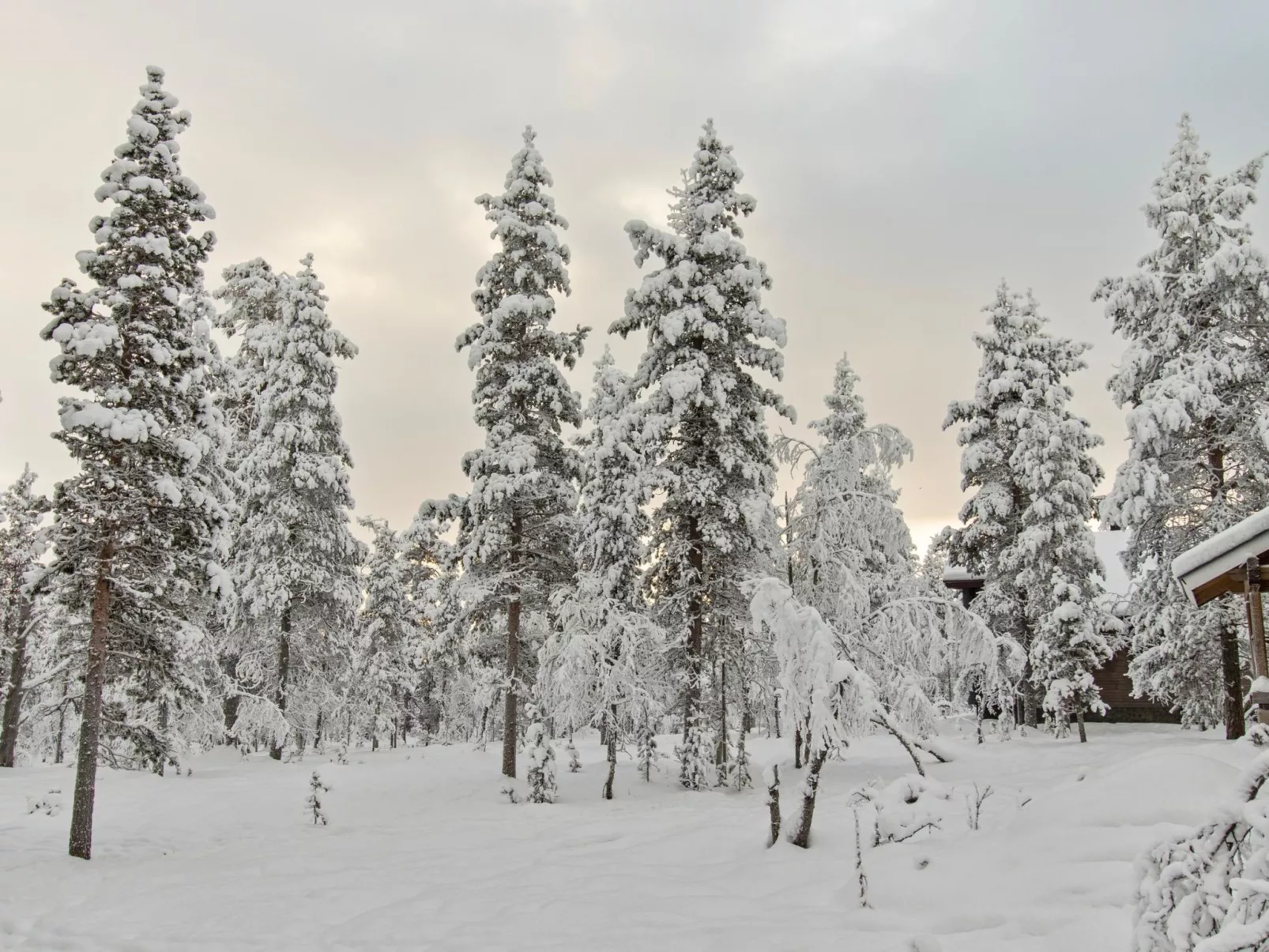 Ressipysäkki 1-Inside