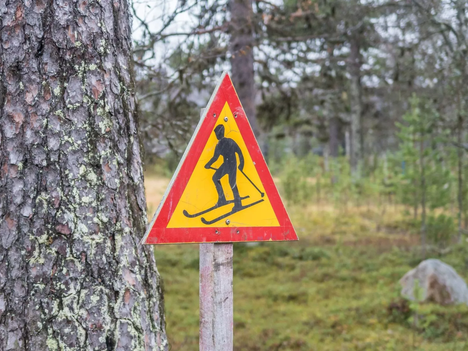 Moitakuru a10-Dedans