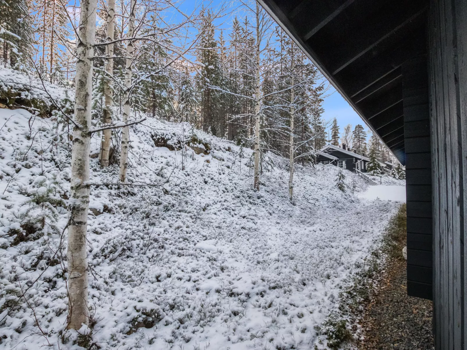 Lomaylläs f79 /palovaarankaarre 18b-Drinnen