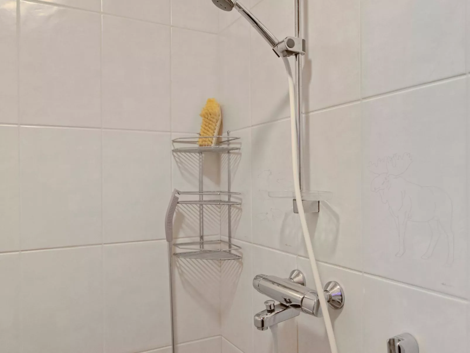 Tunturitähti-Drinnen