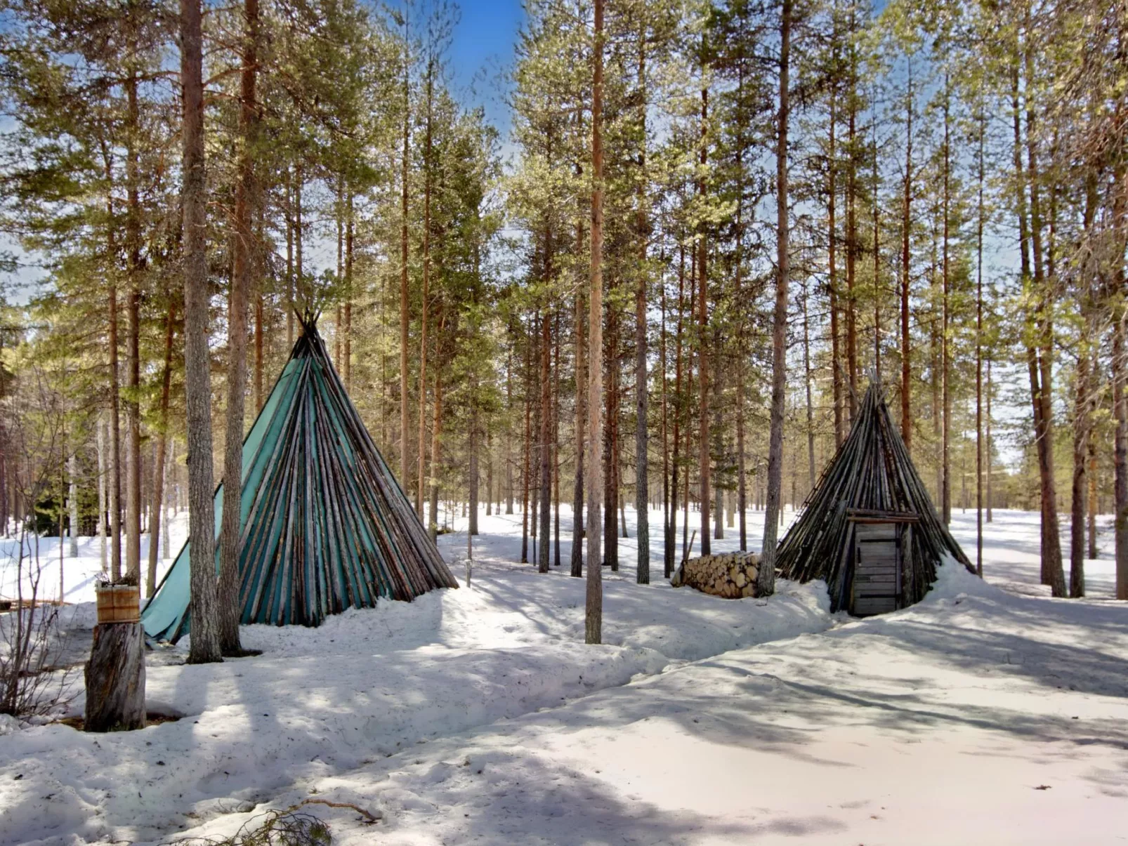 Hankisääski-Drinnen