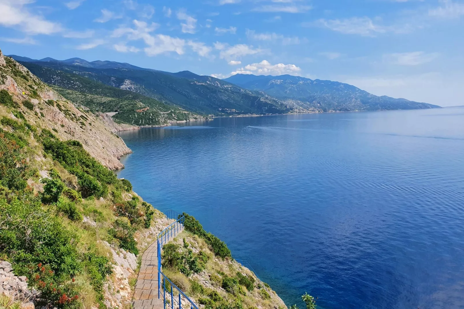 Niko 3-Areas within 5km in summer