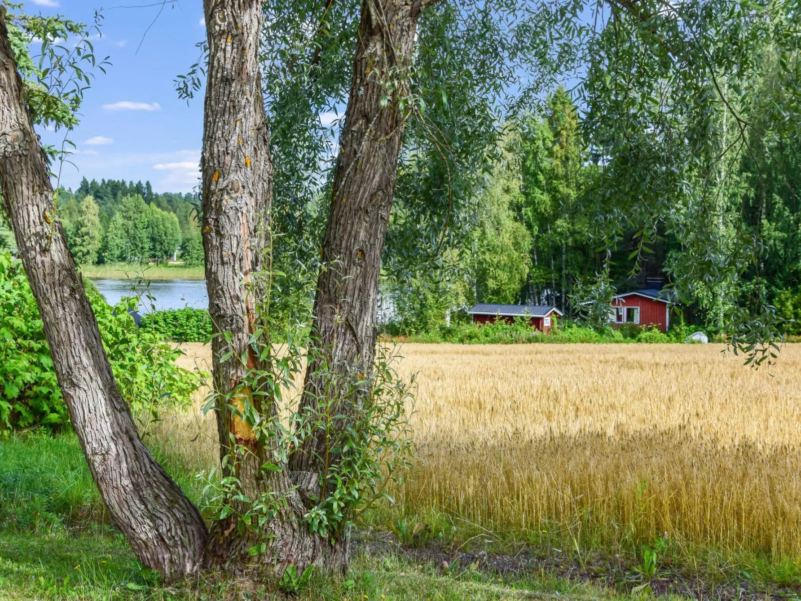 Petäjäniemi-Inside
