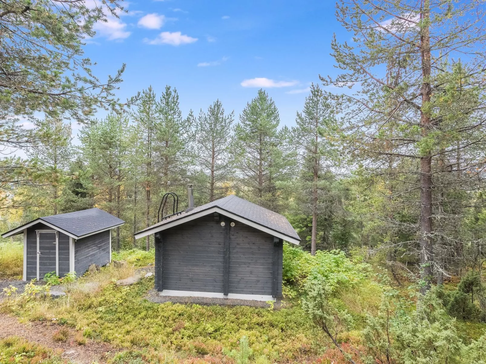 Rukanloisto b-Inside