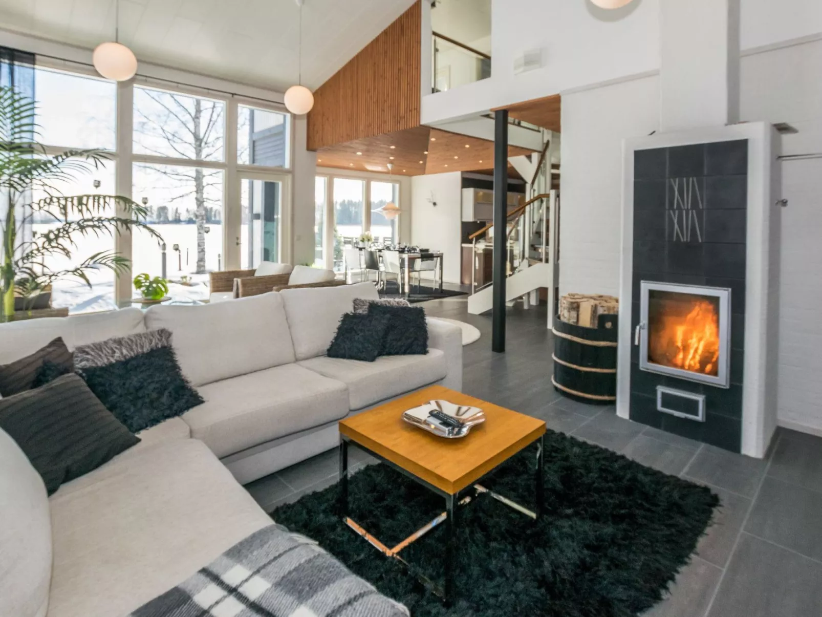 Villa kaivopuisto-Dedans