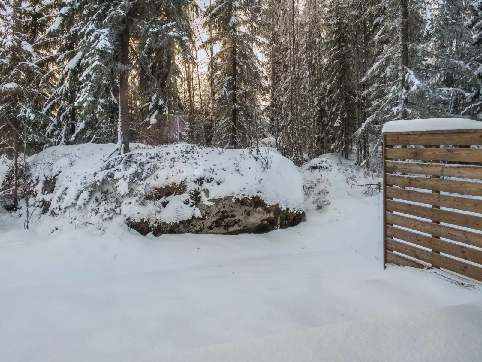 Klz rodoniitti-Drinnen