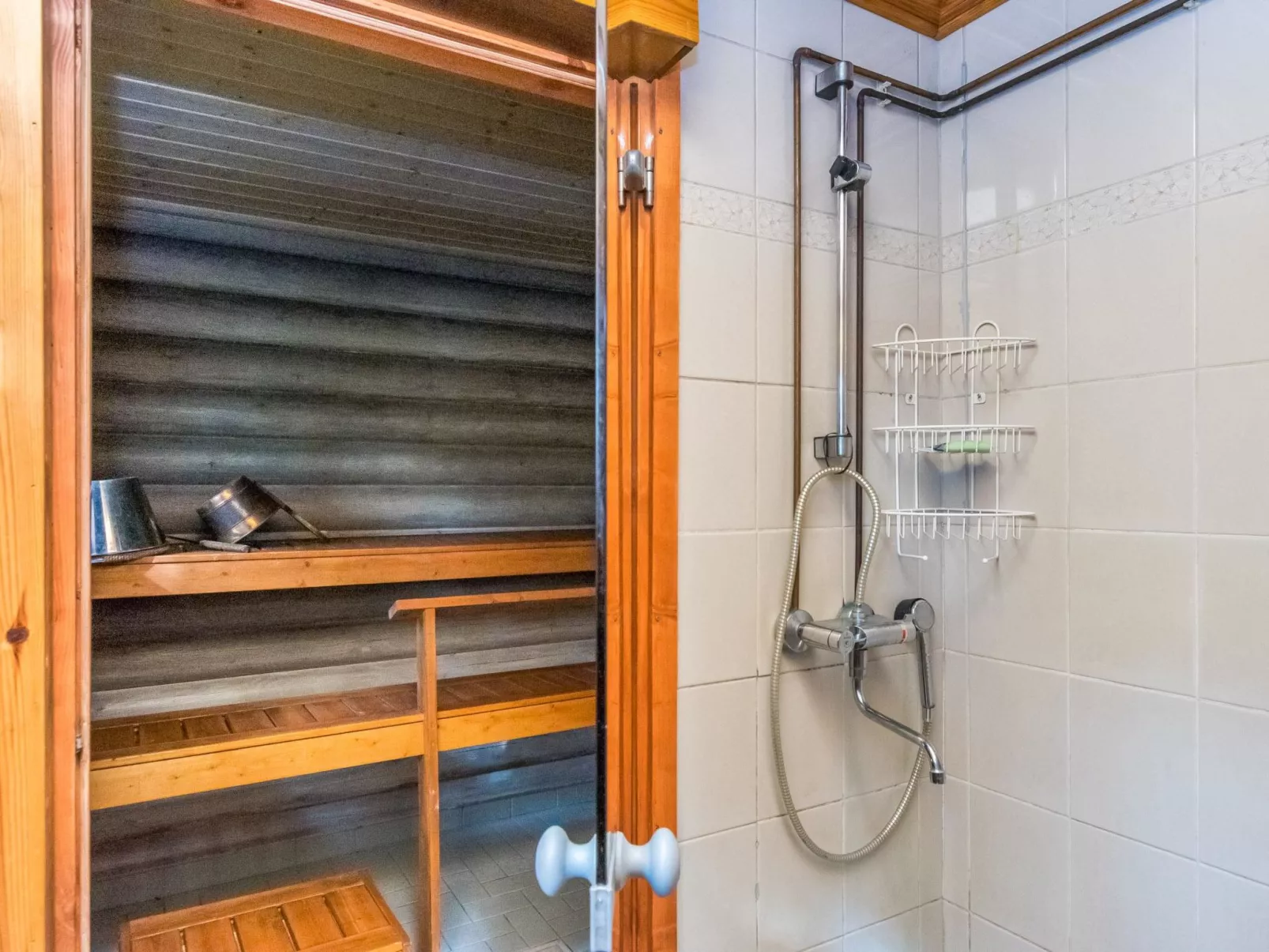 Lohi, cjoe237 a-Inside