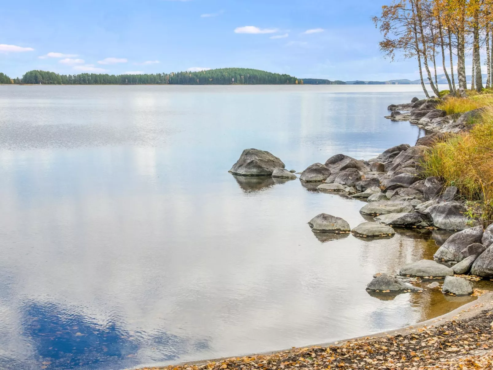 Kolin mesikämmen-Dedans