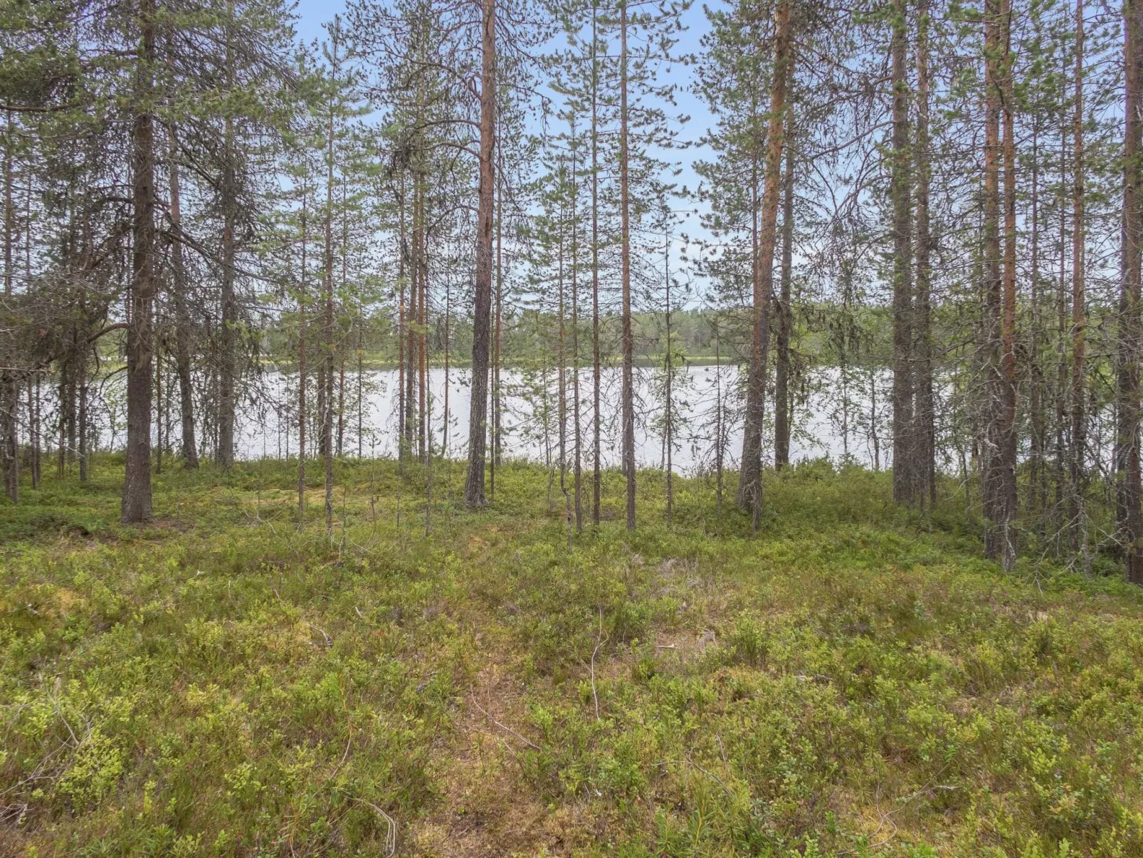 Oivangin siesta-Dedans