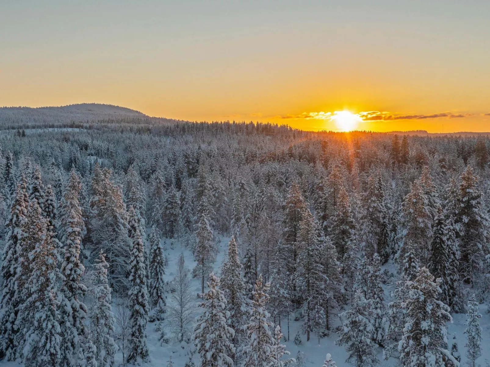 Villa rytilampi b-Inside