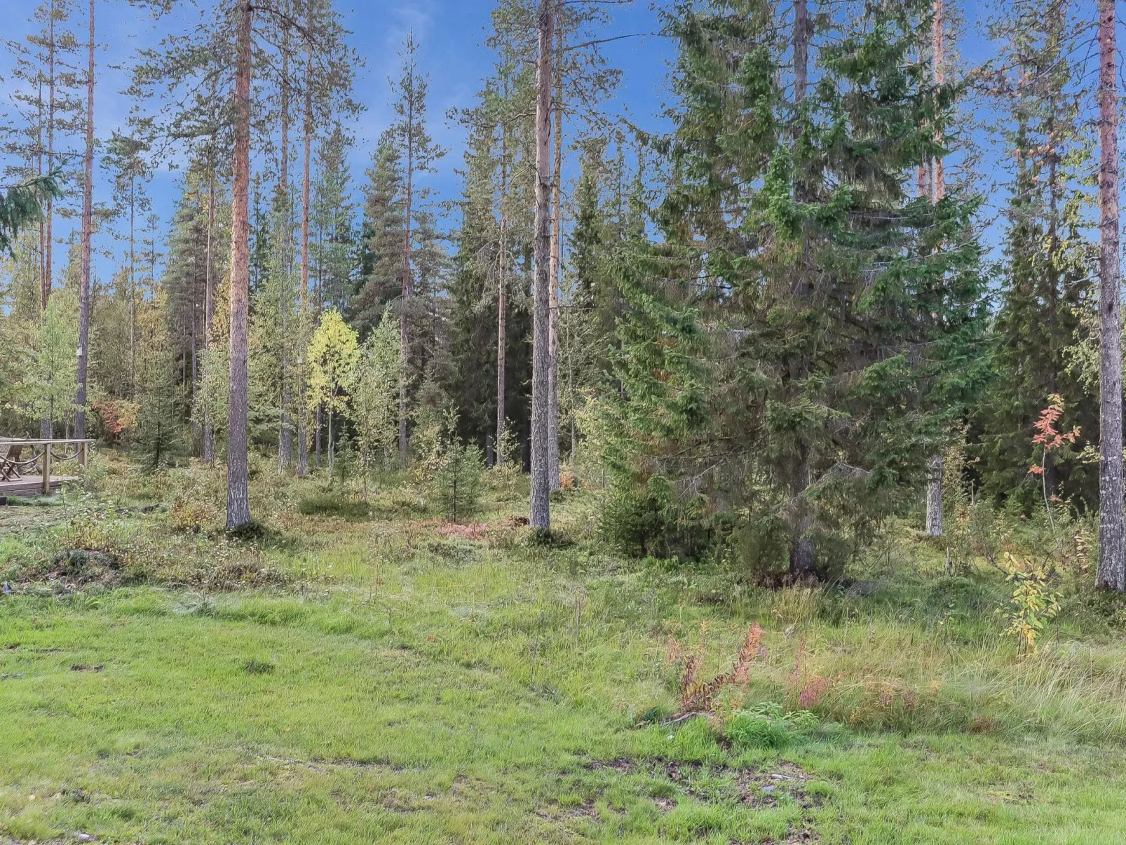 Villa tassu 2-Dedans