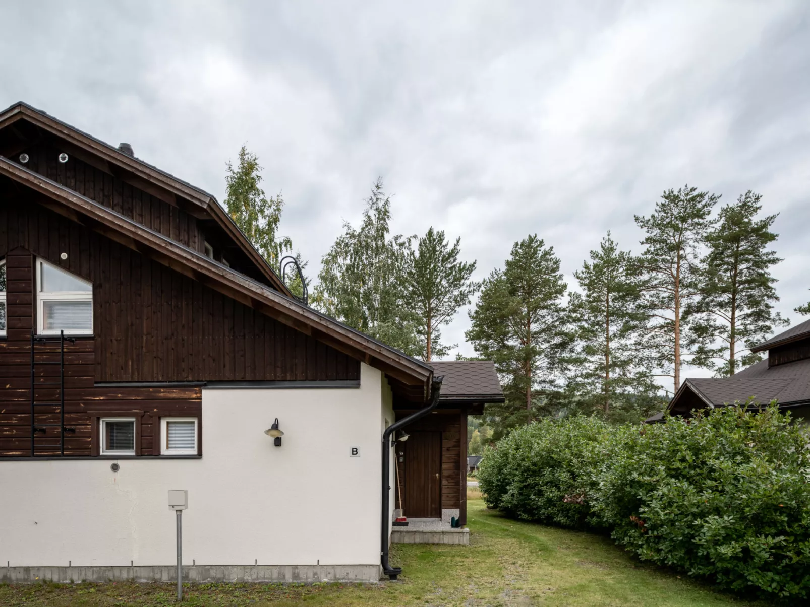 Tahkon klubitie 2 b-Inside