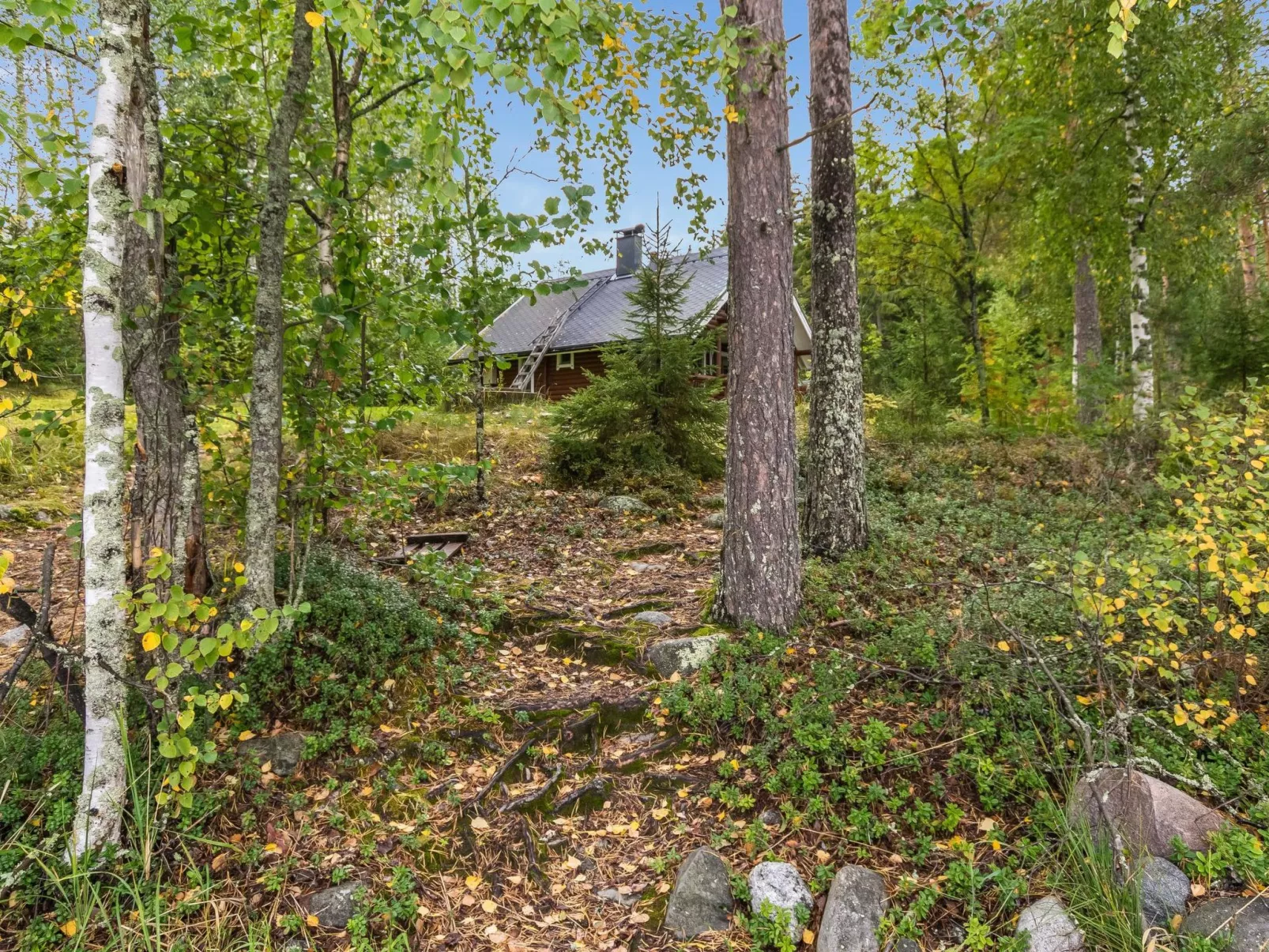 Vihreä mökki-Dedans