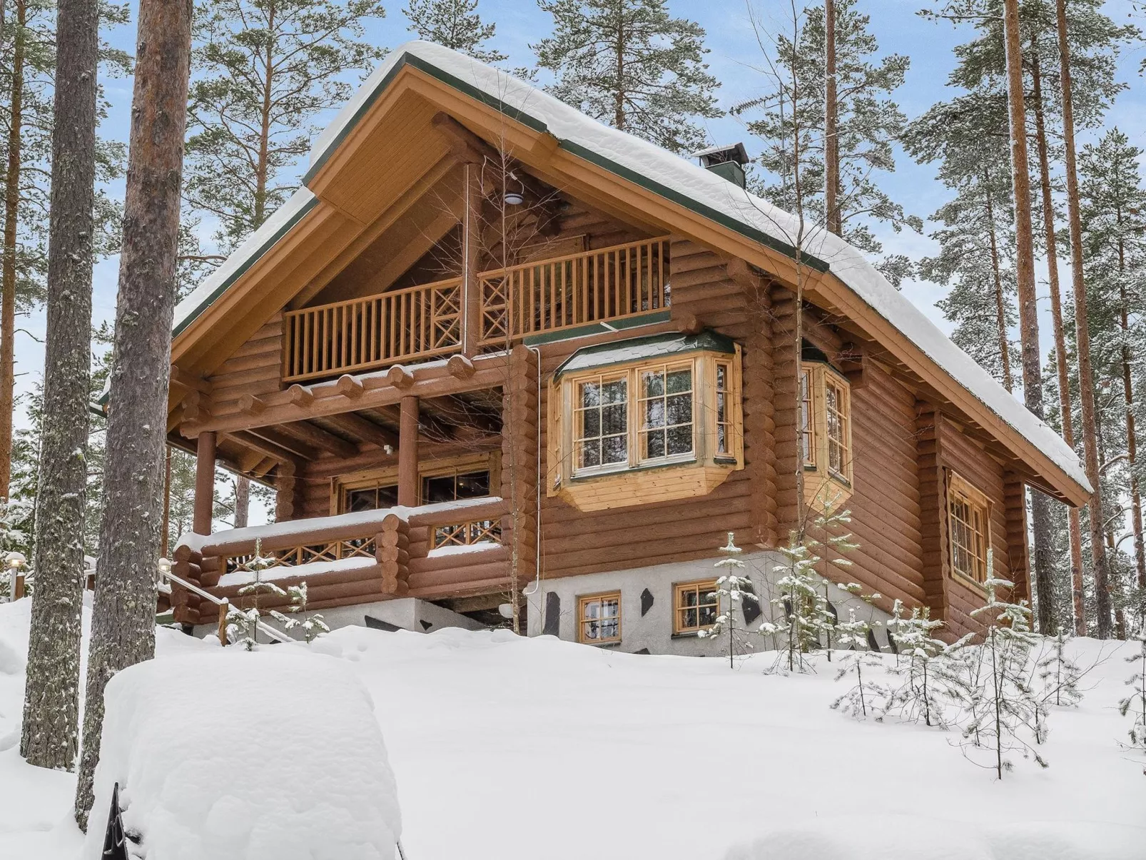 Villa tunturitervakko-Dedans