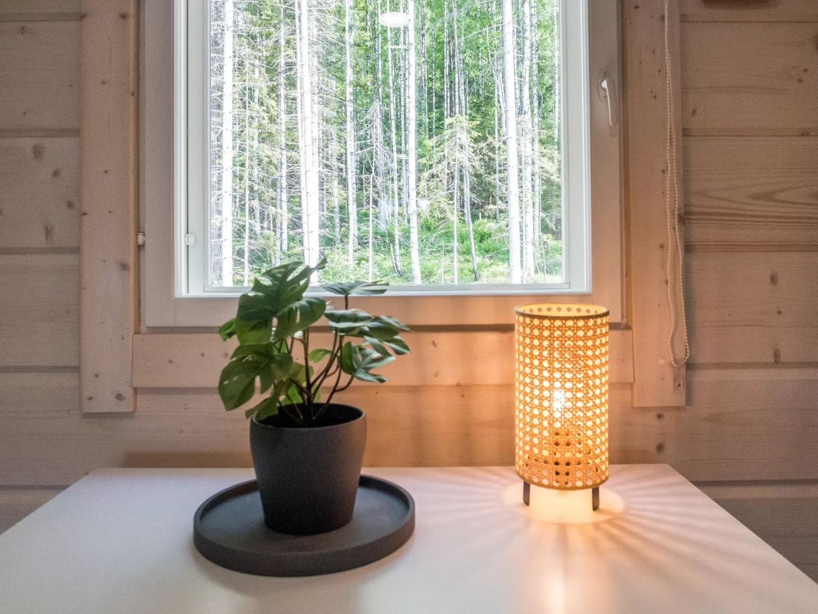 Kolin kangastus apila 1-Dedans