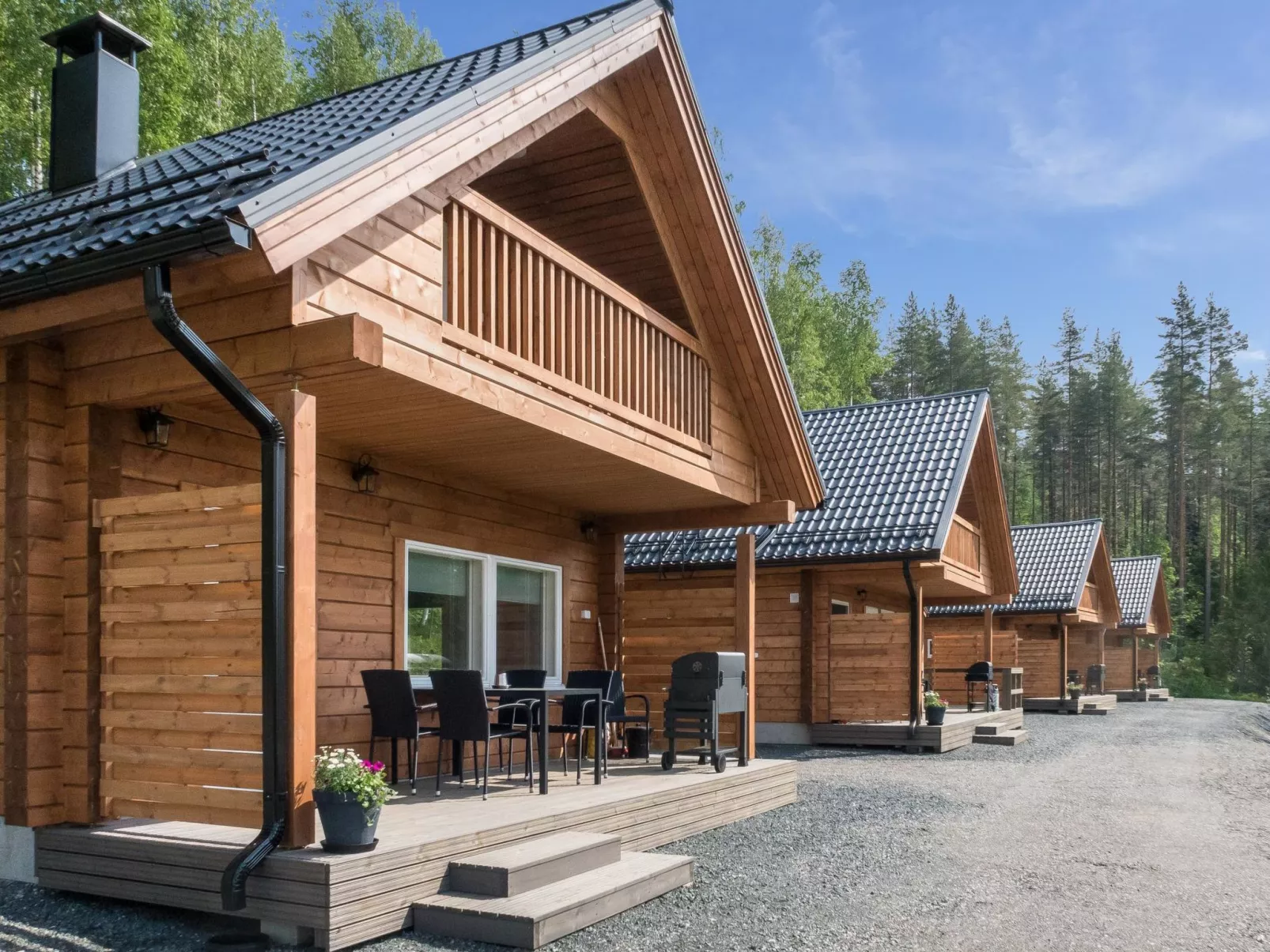 Kolin kangastus metsätähti 2-Dedans