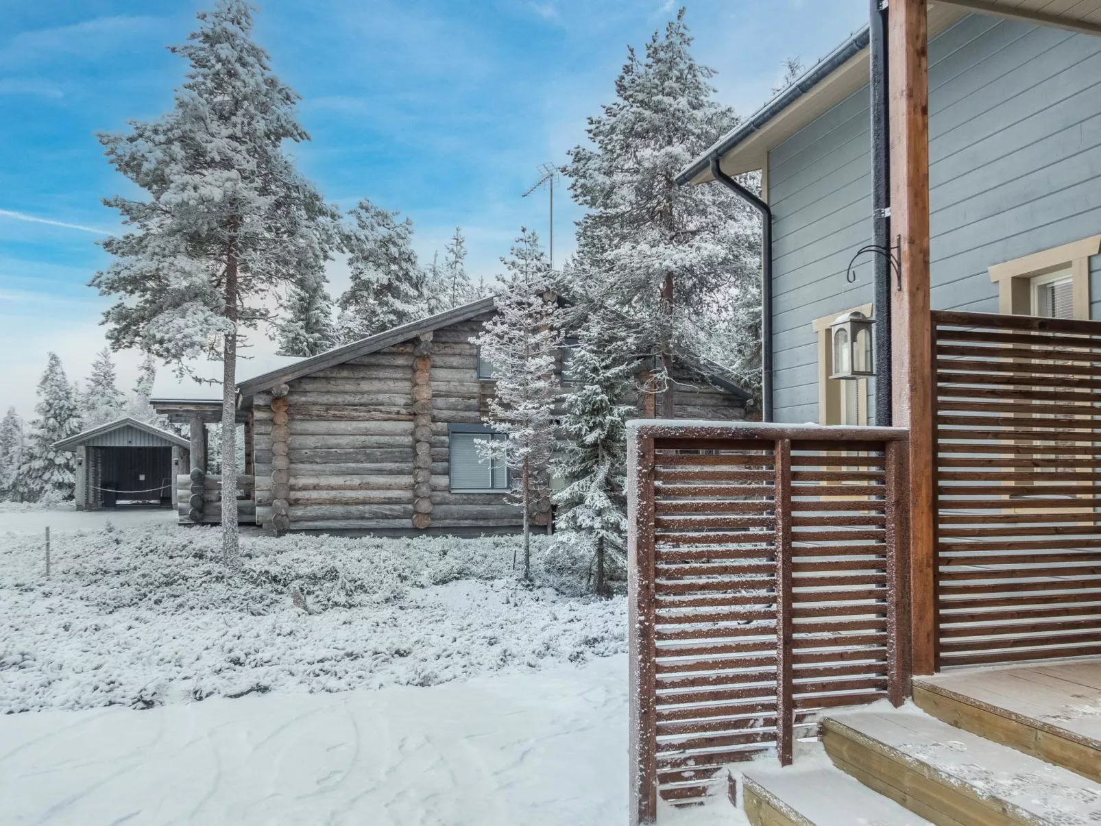 Saukonpesä a-Drinnen