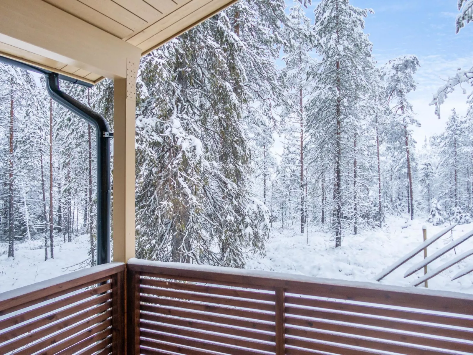 Saukonpesä b-Drinnen