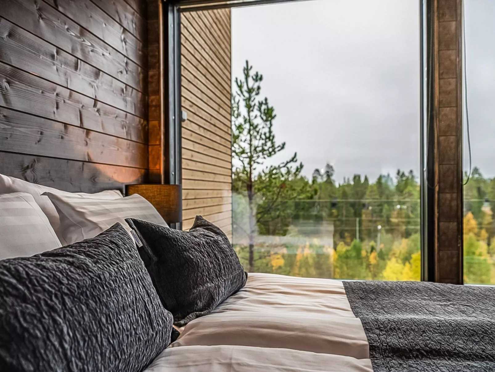 Villa voimapolku 9 a 2-Dedans