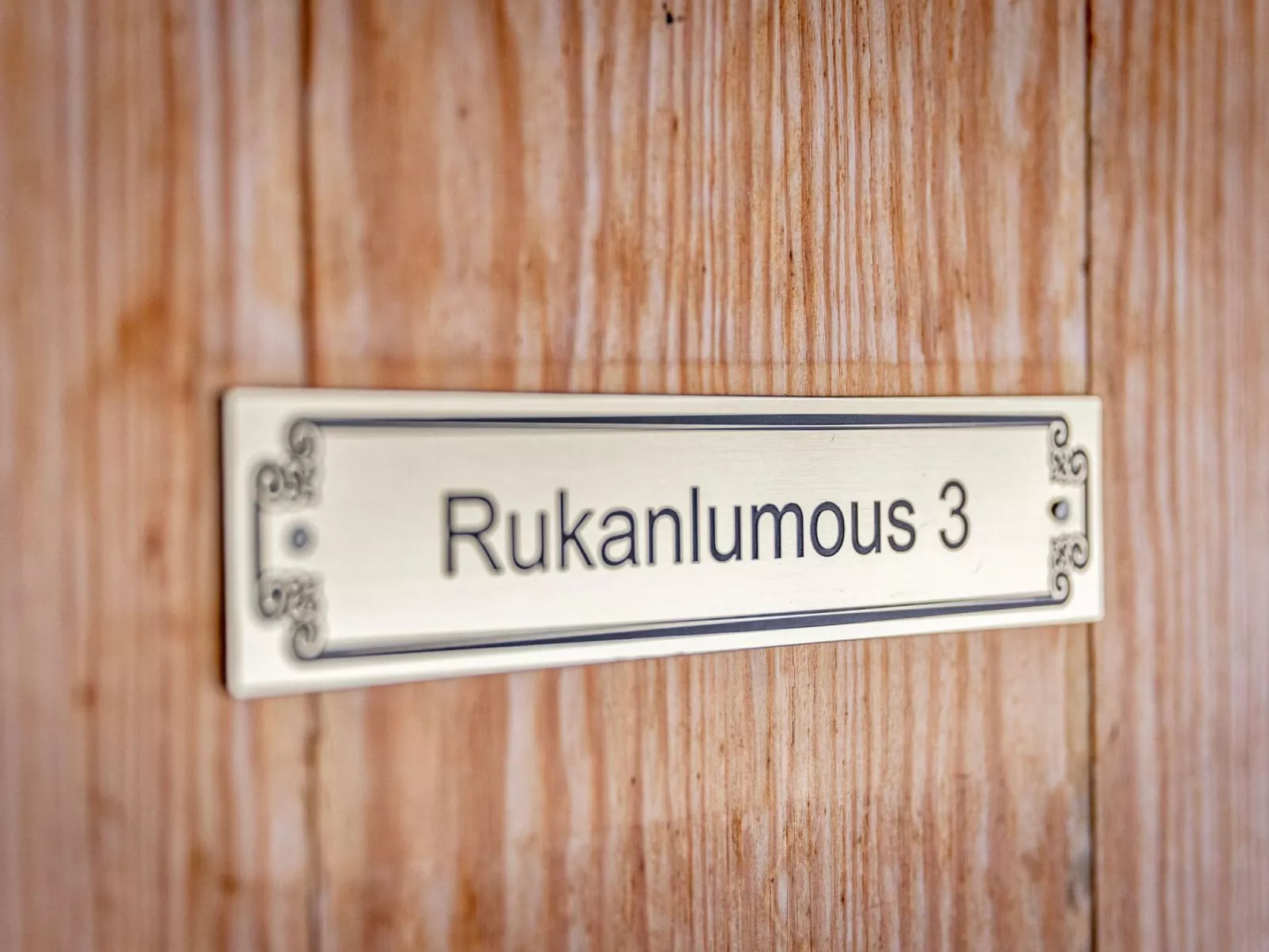 Rukanlumous 3-Drinnen