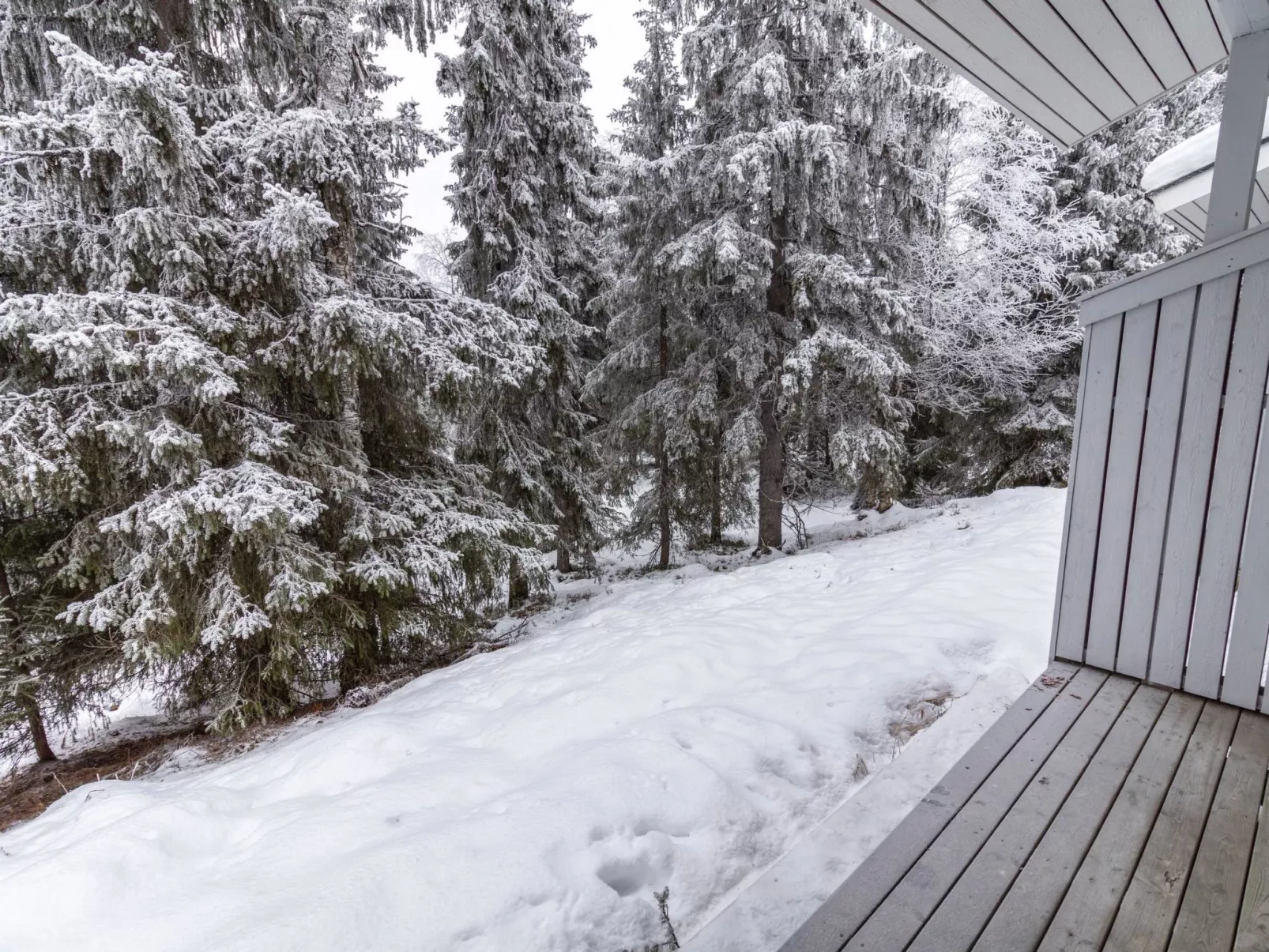 Rukan ankkuri-Drinnen
