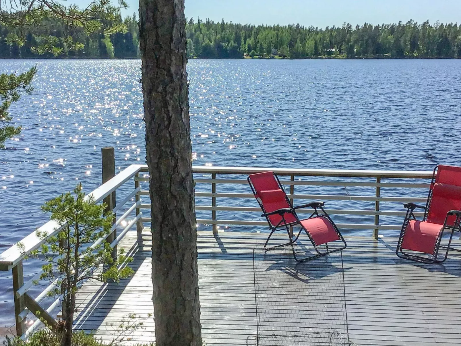 Näsinjoutsen-Dedans