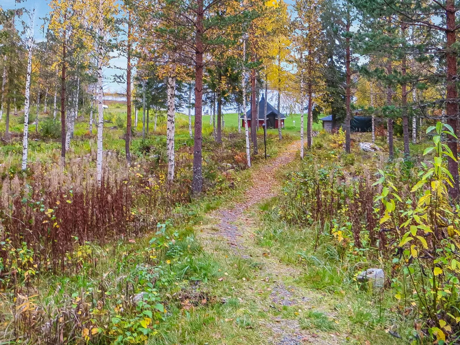 Niementalo 2-Drinnen