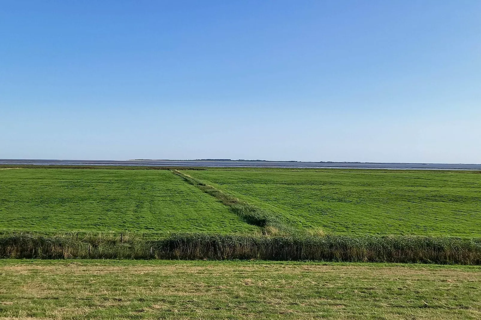 Ferienhaus Mühlenblick 07-Areas within 5km in summer