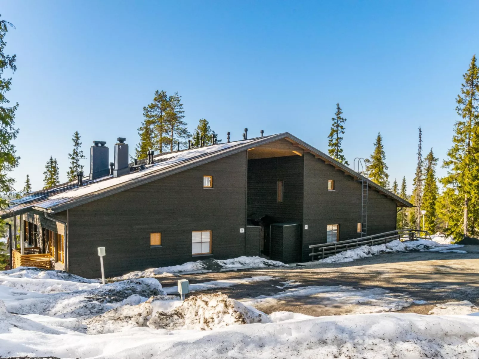 Karhunvartijan pirtti c4-Dedans