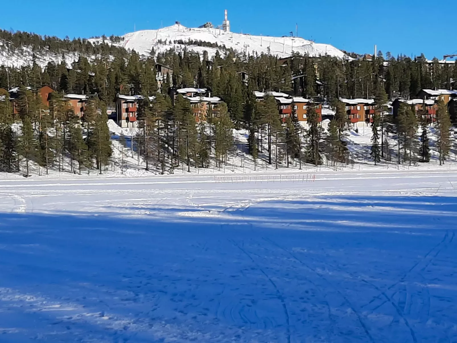 Lomakivakka b6-Dedans