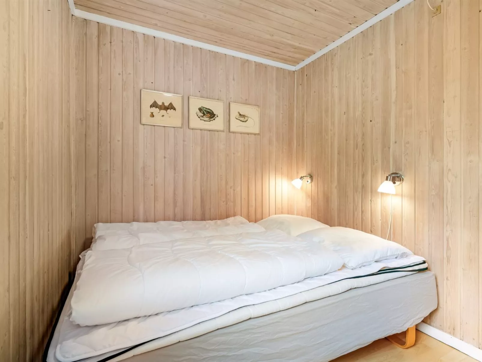 "Ellie" - 500m from the sea-Dedans