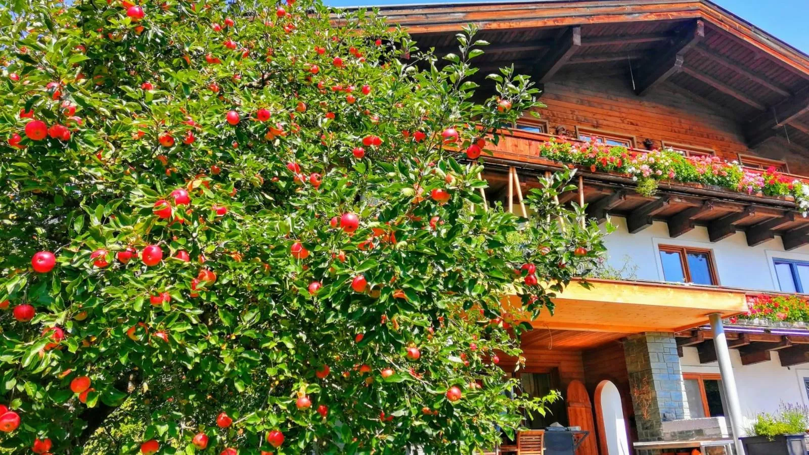 Kaiser-Gardens in summer