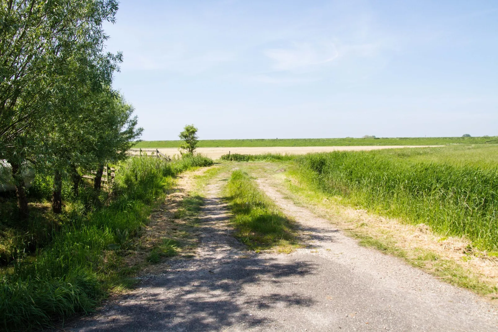 Appartement Rustiek-Areas within 1km in summer